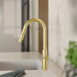 Wasserwerk Kitchen Faucet with Curved Pull-Down Spout in Brushed Gold