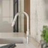 Wasserwerk Kitchen Faucet with Curved Pull-Down Spout in Brushed Nickel