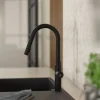 Wasserwerk Kitchen Faucet with Curved Pull-Down Spout in Matte Black