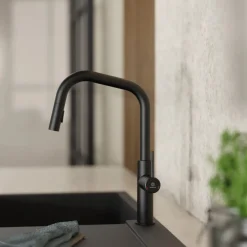 Wasserwerk Kitchen Faucet with Angled Spout Pull-Down Sprayer in Matte Black