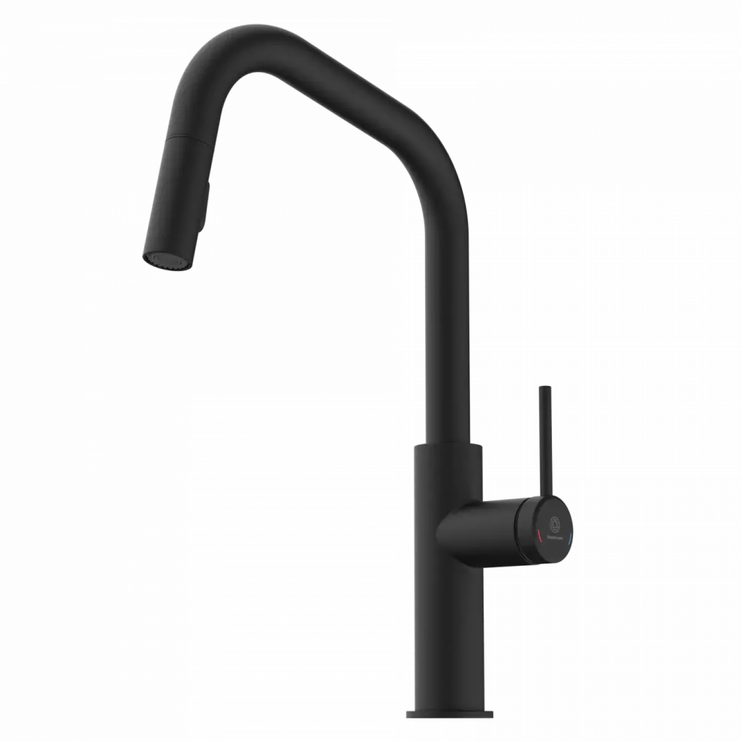 Wasserwerk Kitchen Faucet with Angled Spout Pull-Down Sprayer in Matte Black