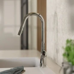 Wasserwerk Kitchen Faucet with Curved Spout Pull-Down Sprayer in Chrome