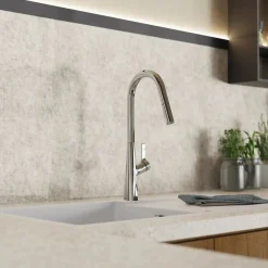 Wasserwerk Kitchen Faucet with Curved Spout Pull-Down Sprayer in Chrome