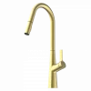 Wasserwerk Kitchen Faucet with Curved Spout Pull-Down Sprayer in Brushed Gold
