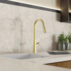 Wasserwerk Kitchen Faucet with Curved Spout Pull-Down Sprayer in Brushed Gold