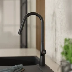Wasserwerk Kitchen Faucet with Curved Spout in Matte Black