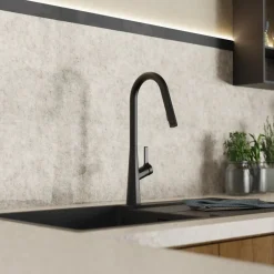 Wasserwerk Kitchen Faucet with Curved Spout in Matte Black