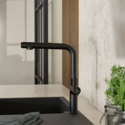 Wasserwerk Kitchen Faucet with Straight Pull-Out Spout in Matte Black