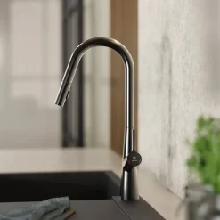 Wasserwerk Kitchen Faucet with Curved Spout Pull-Down Sprayer in Matte Graphite