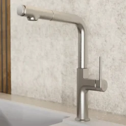 Wasserwerk Kitchen Faucet with Straight Pull-Out Spout in Brushed Nickel