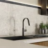 Wasserwerk Pull-Down Kitchen Prep Faucet in Matte Graphite