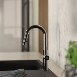 Wasserwerk Pull-Down Kitchen Prep Faucet in Matte Graphite