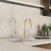 Wasserwerk Pull-Down Kitchen Prep Faucet in Brushed Gold