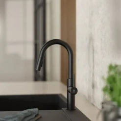 Wasserwerk Pull-Down Kitchen Prep Faucet in Matte Black