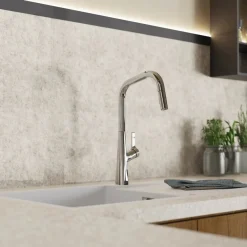 Wasserwerk Single Hole Pull Down Kitchen Faucet in Chrome