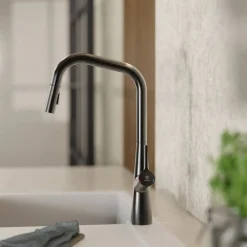 Wasserwerk Single Hole Pull Down Kitchen Faucet in Matte Graphite