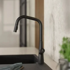 Wasserwerk Single Hole Pull Down Kitchen Faucet in Matte Black