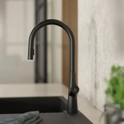 Wasserwerk Single Hole Pull Down Kitchen Faucet in Matte Black