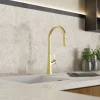 Wasserwerk Single Hole Pull Down Kitchen Faucet in Brushed Gold
