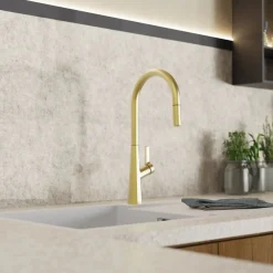 Wasserwerk Single Hole Pull Down Kitchen Faucet in Brushed Gold