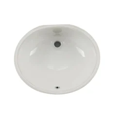 Wells Sinkware 19-Inch Oval Undermount Single Bowl Bathroom Sink